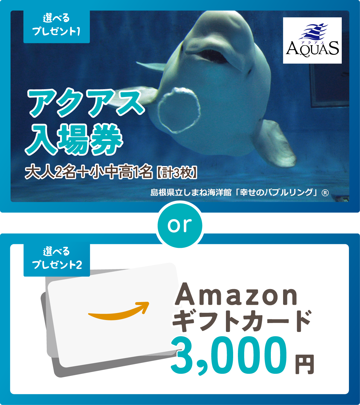 選べるプレゼント1　アクアス入場券 大人2名＋小中高1名(計三名)／選べるプレゼント2 Amazonギフトカード3000円
